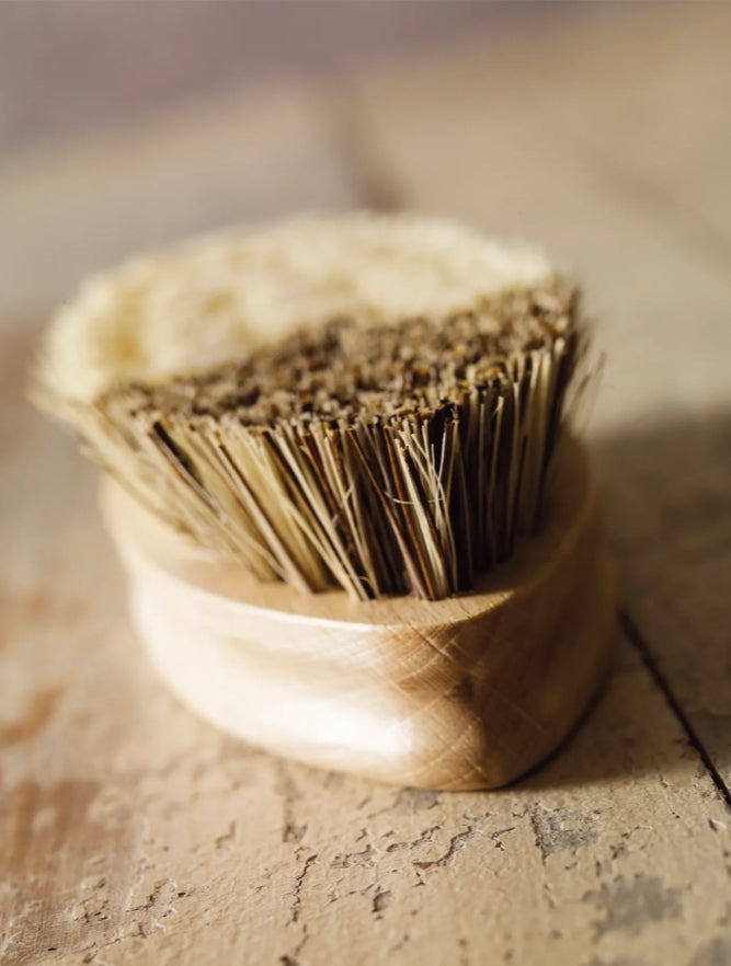 Vegetable Brush