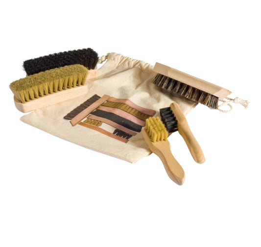 Travel Shoe Care Kit