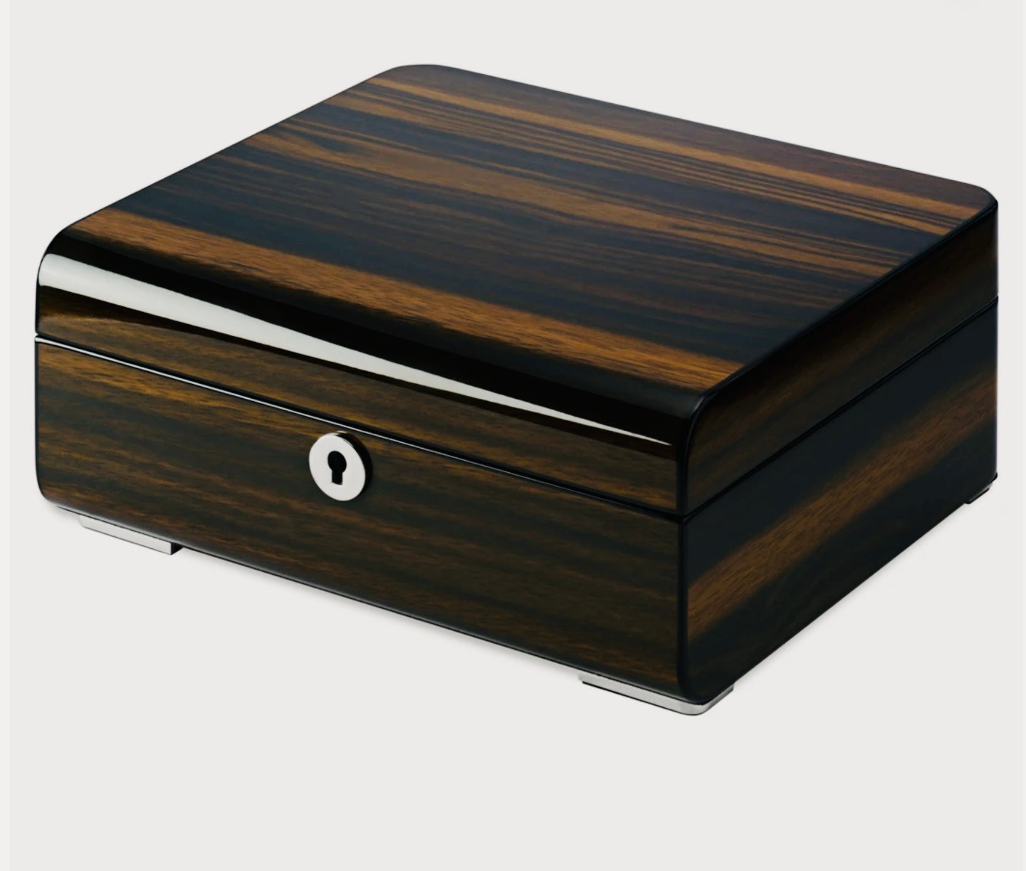 Luxury Watch Box