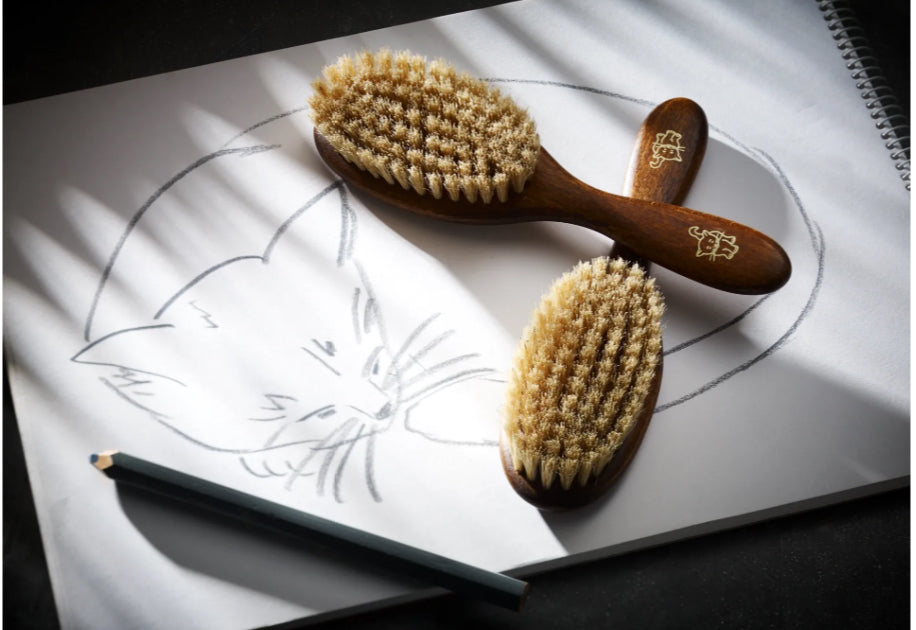 Cat Brush For Fur Care On Your Cat