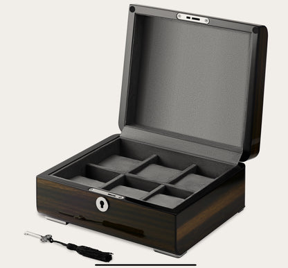 Luxury Watch Box