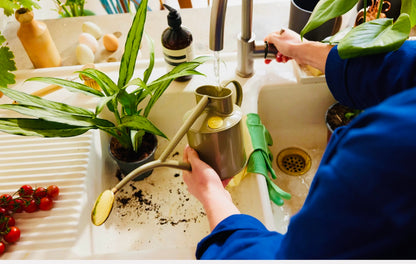 Haws Watering Can 2 Pints Lichen Green