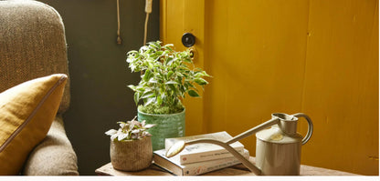 Haws Watering Can 2 Pints Lichen Green